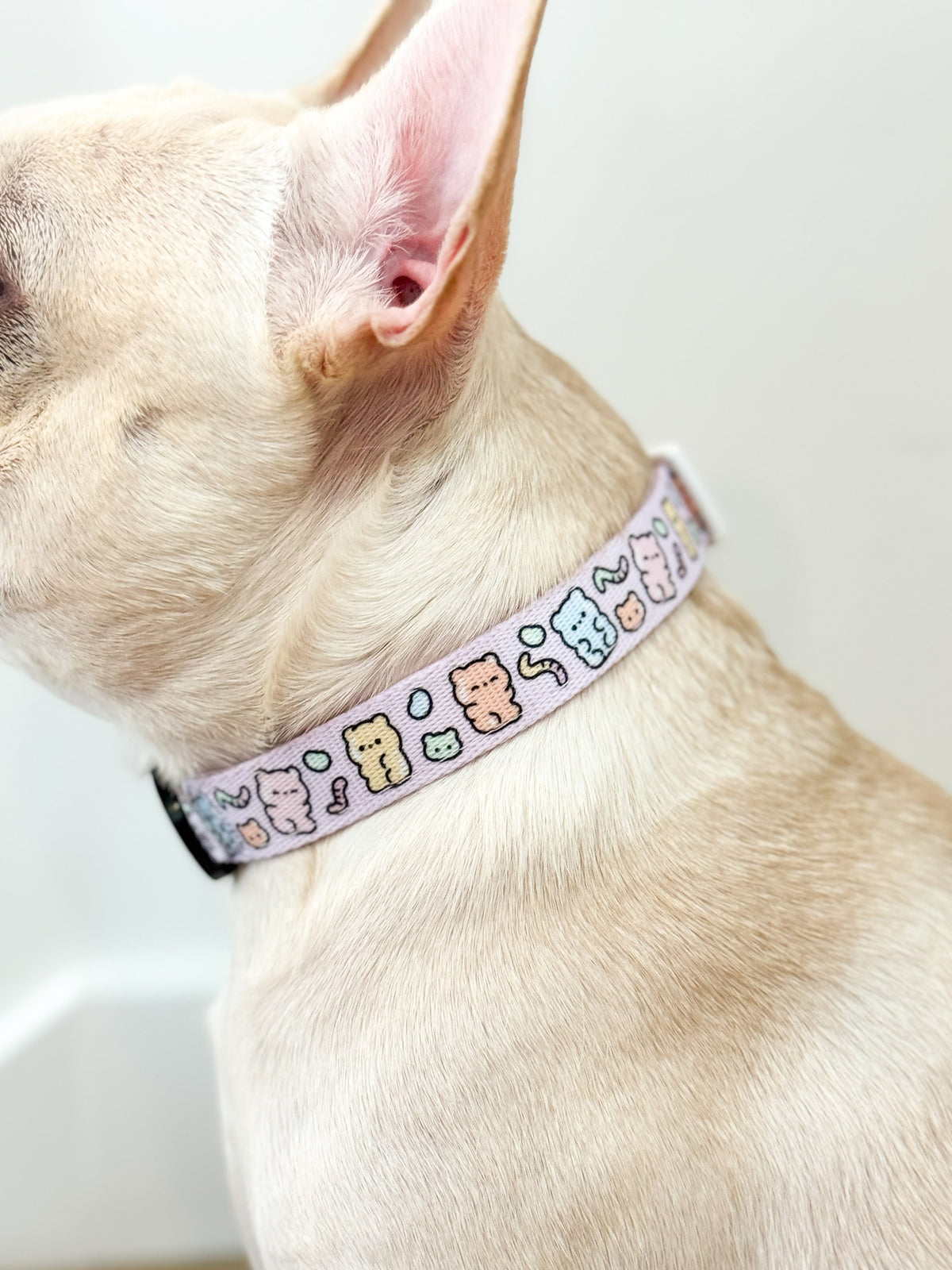 Dog Collar Gummy Bear Korriko Pet Supply