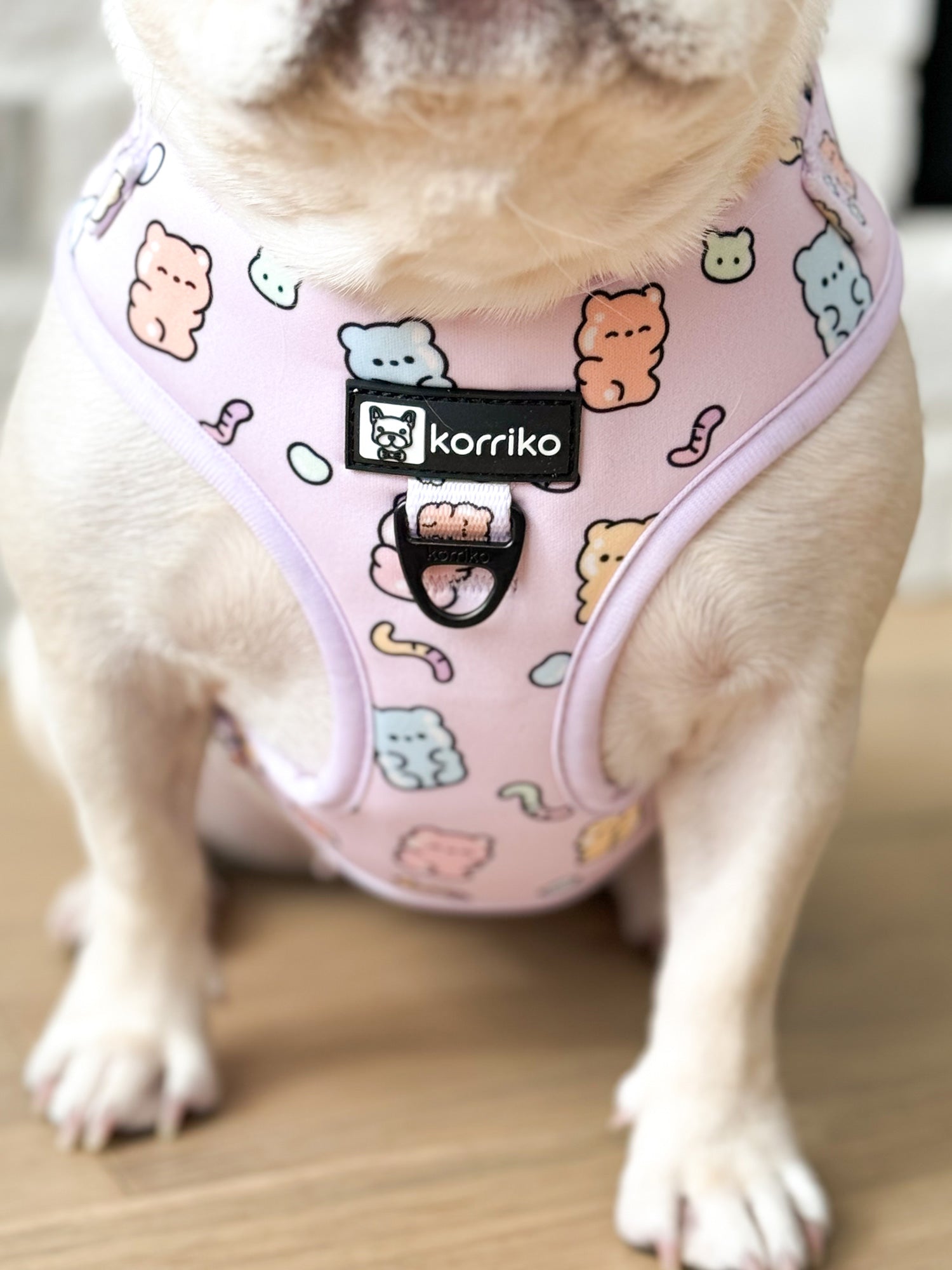 Adjustable Dog Harness - Gummy Bear