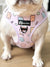 Adjustable Dog Harness - Gummy Bear