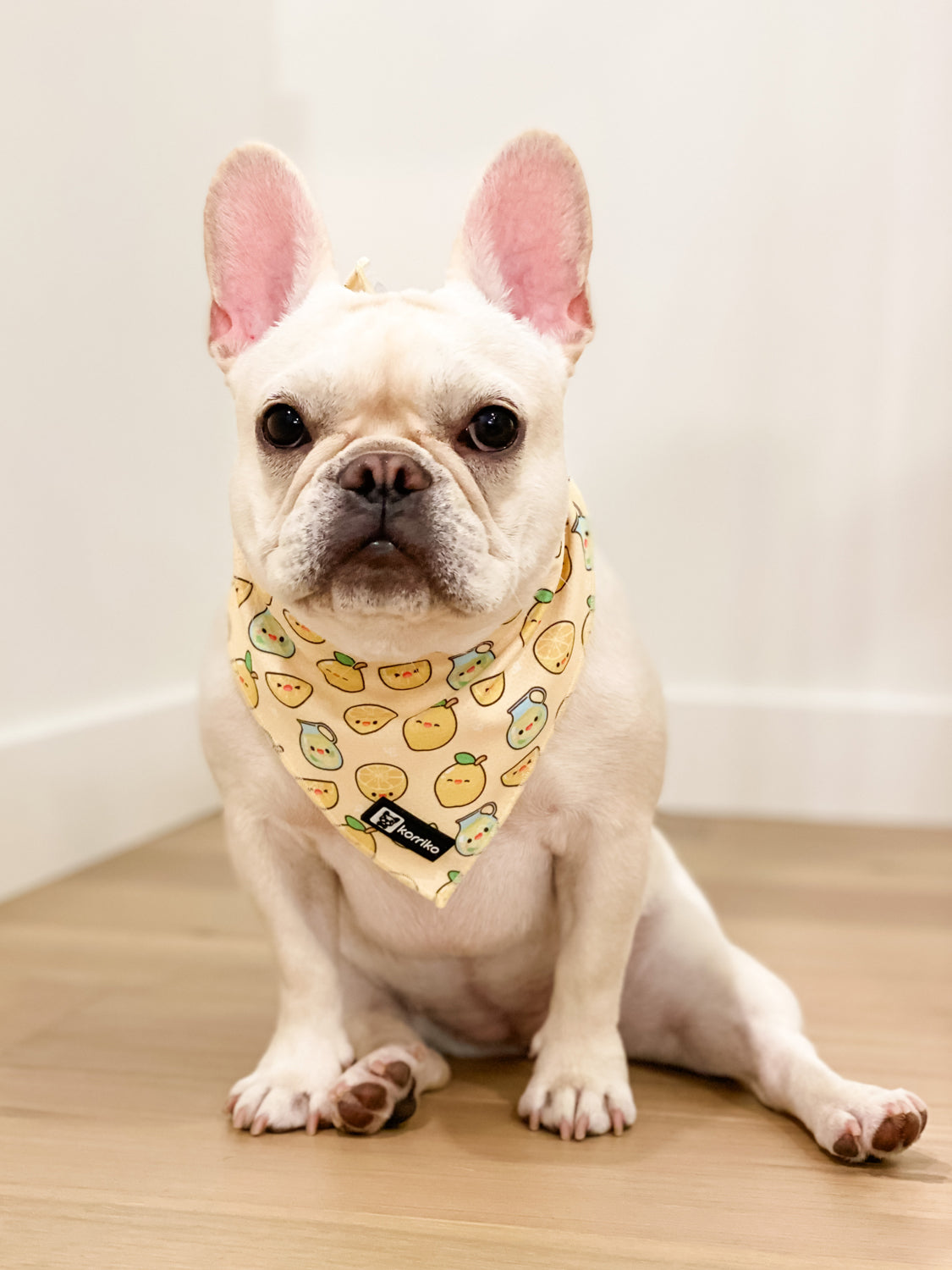 Cooling Dog Bandana Lemonade Korriko Pet Supply