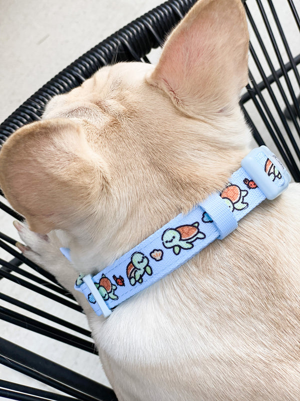 Ocean store dog collar