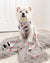 Exploration Lite No-Pull Dog Harness - Pizza