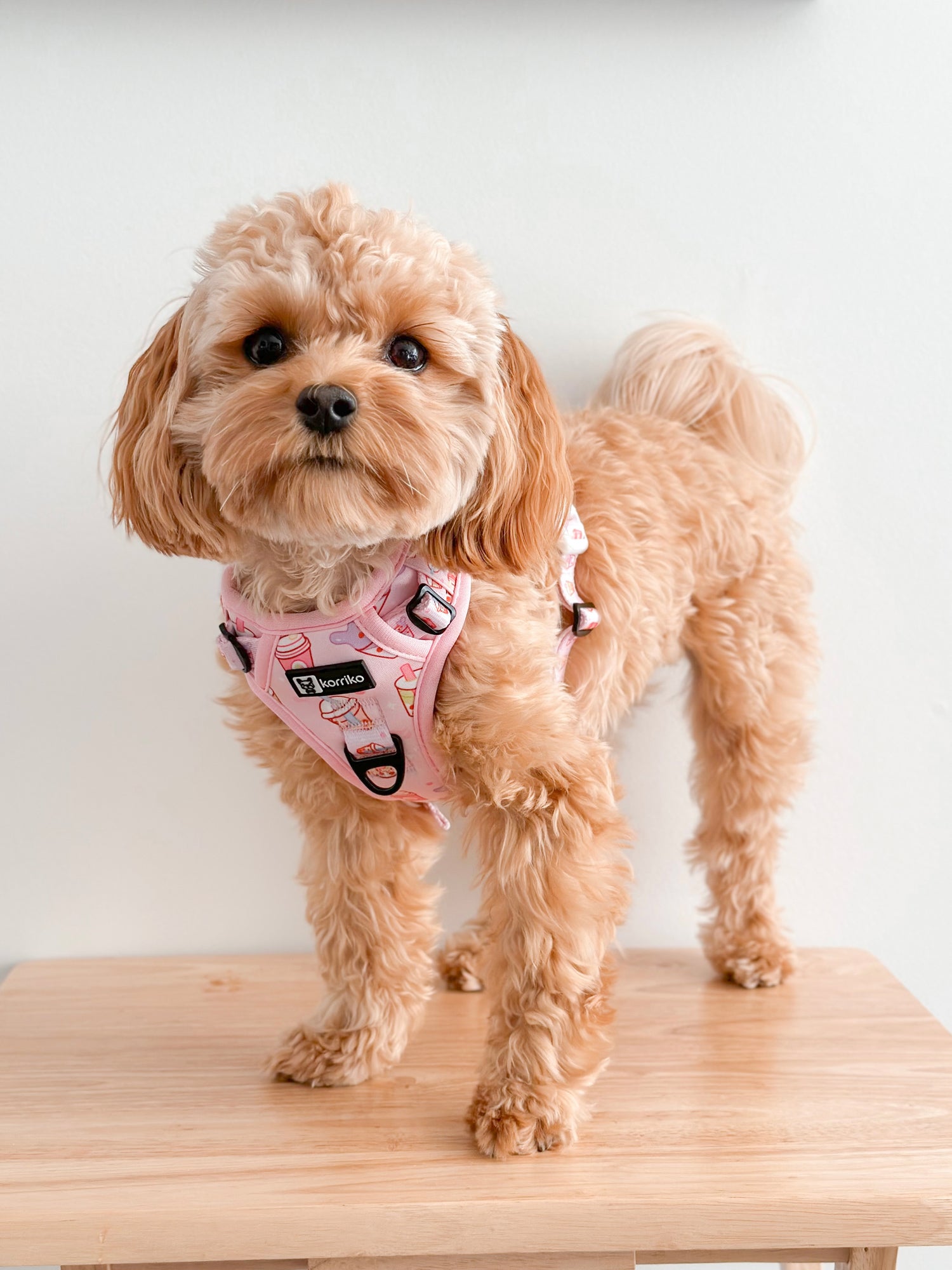 Exploration Lite No-Pull Dog Harness - Taro Milk Tea