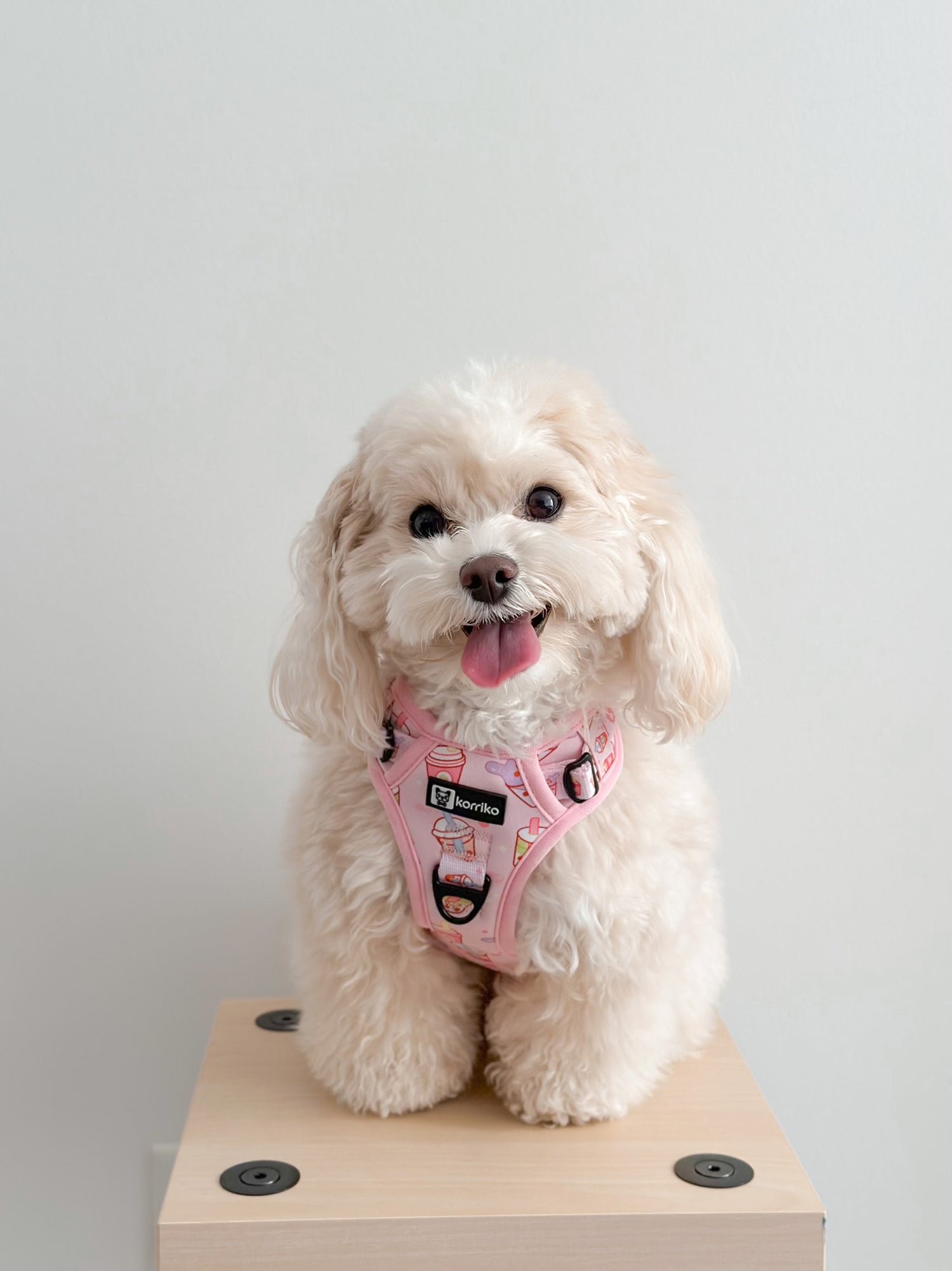 Exploration Lite No-Pull Dog Harness - Taro Milk Tea