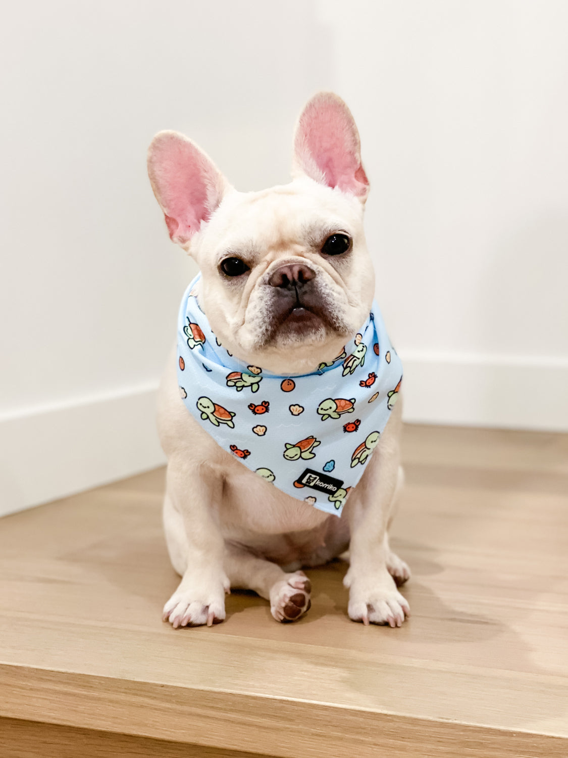 Bulldog bandana sale