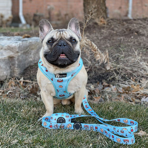 Adjustable Dog Harness - Adorabao