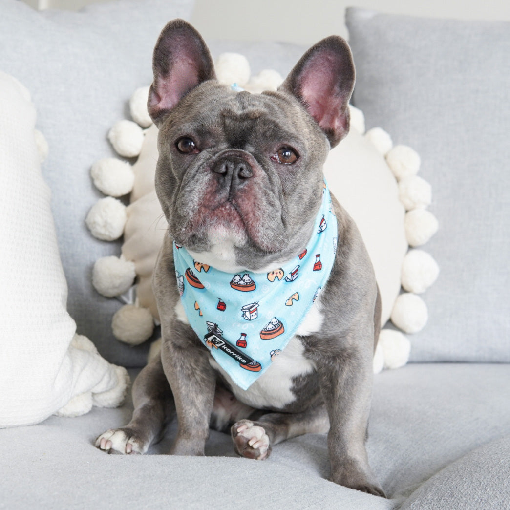 Cooling Dog Bandana - Adorabao