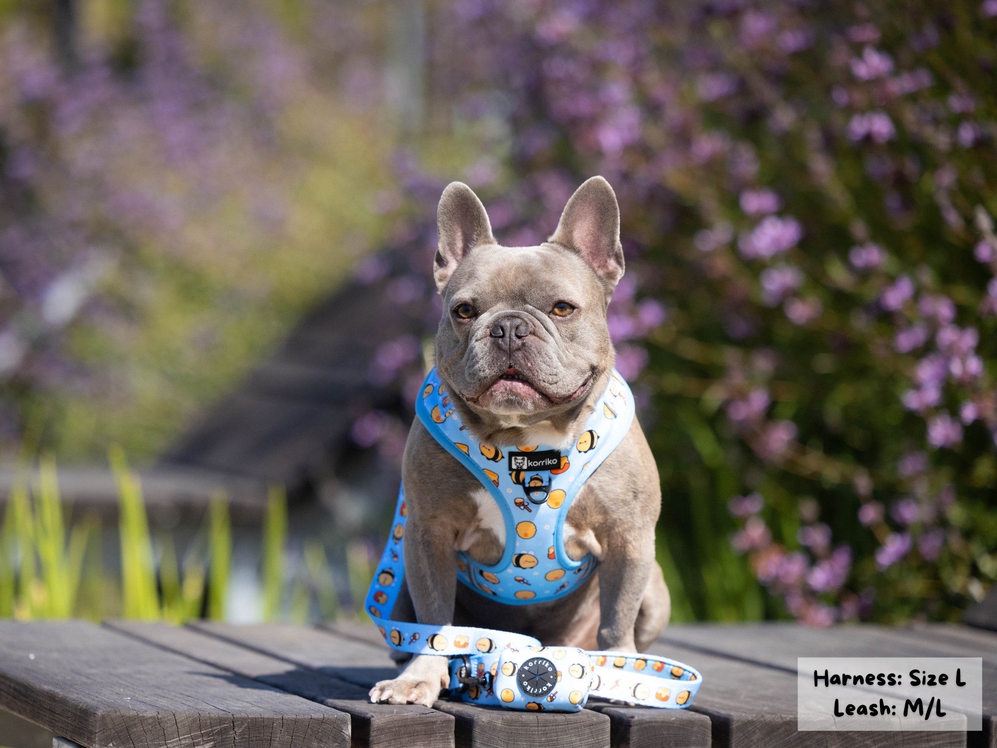 Adjustable Dog Harness - HoneyBee