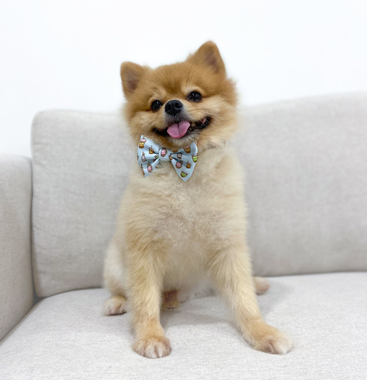 Bow clearance tie puppy