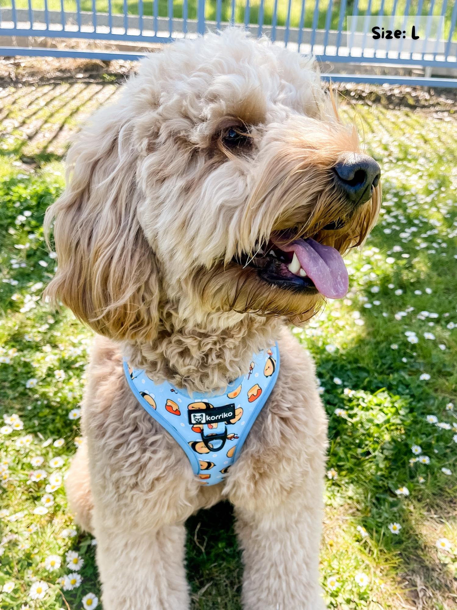 Adjustable Dog Harness - HoneyBee