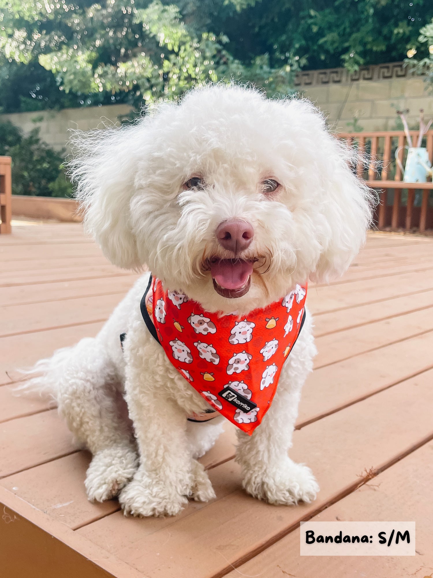 Cooling Dog Bandana - Moo Moo