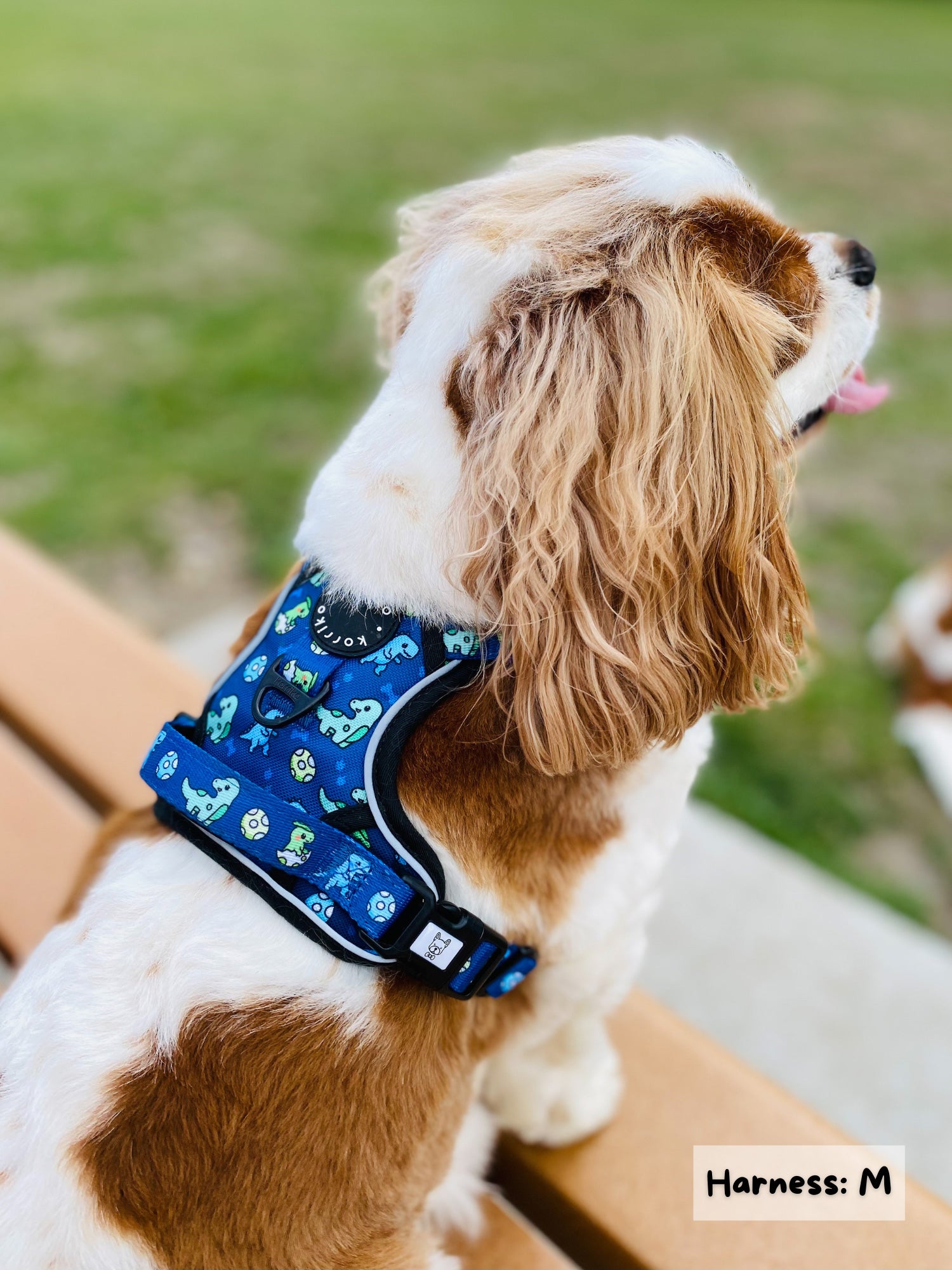 Exploration No-Pull Dog Harness - Dino