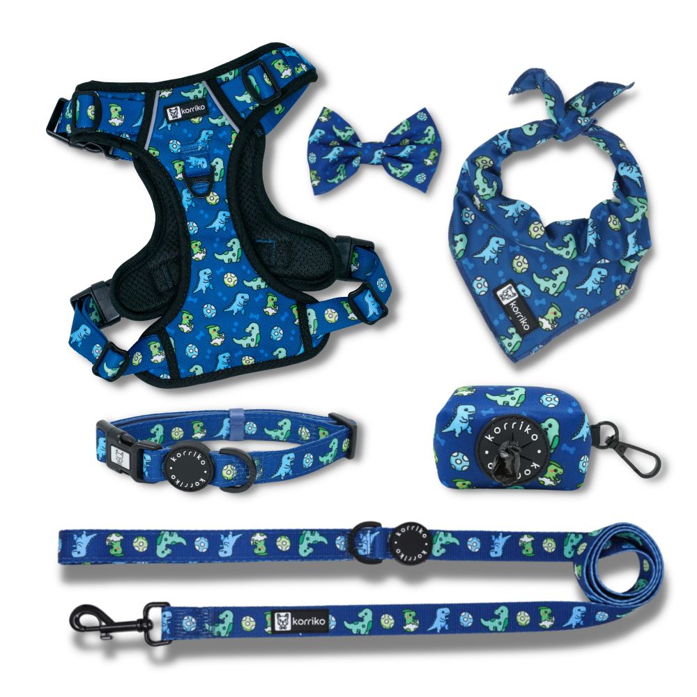 Harness Bundle Set - Dino (Exploration No-Pull) - Korriko Pet Supply