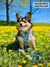 Adjustable Dog Harness - HoneyBee