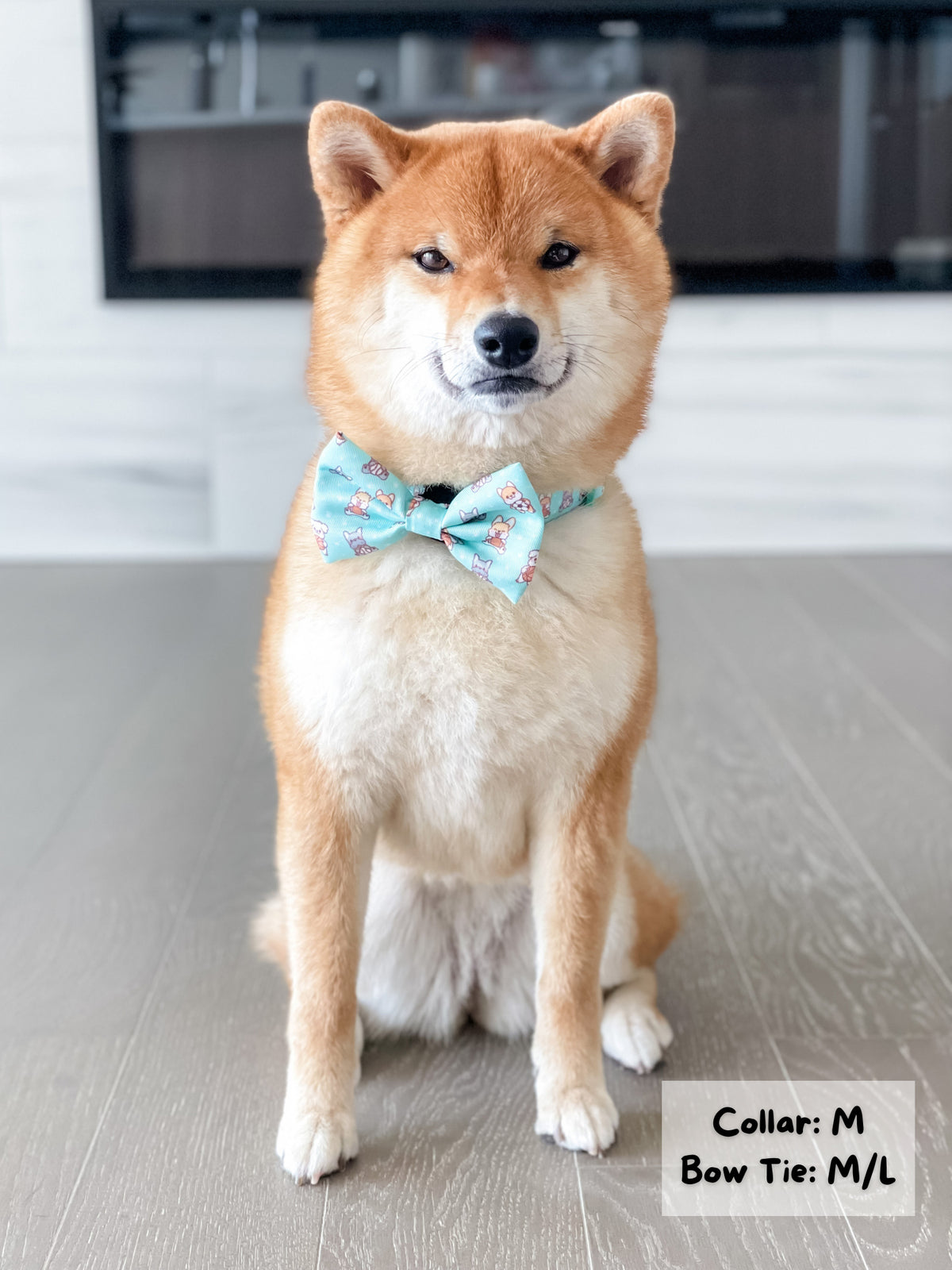 Shiba inu 2024 bow tie