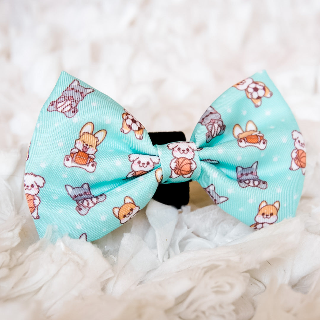 Dog bow shop tie kmart