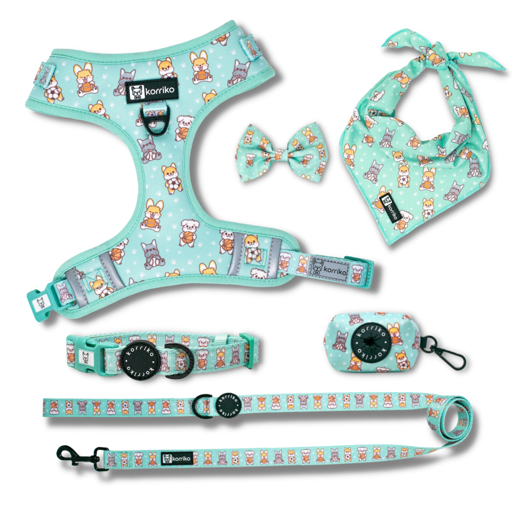 Harness Bundle Set - Dream Team