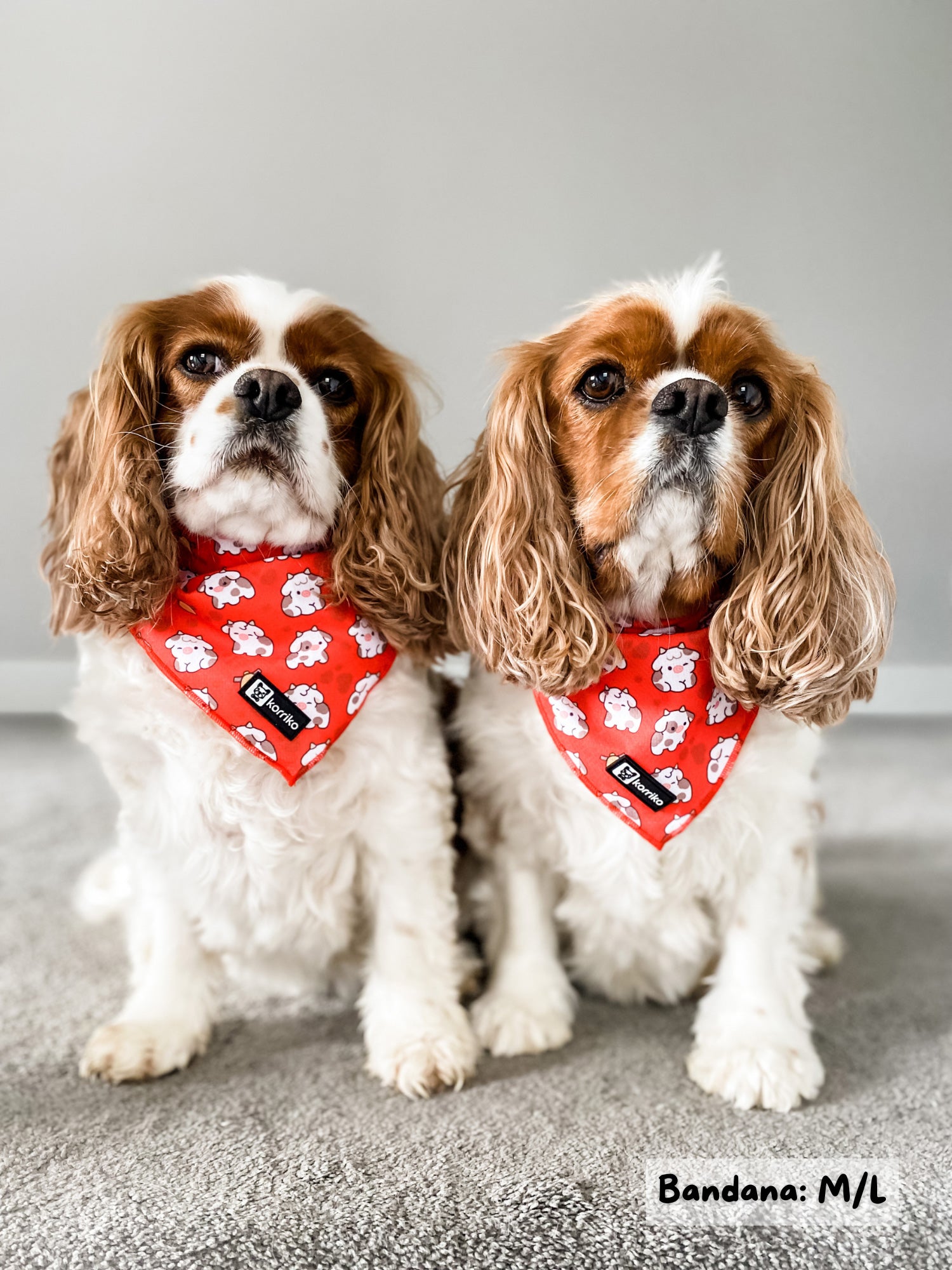 Cooling Dog Bandana - Moo Moo