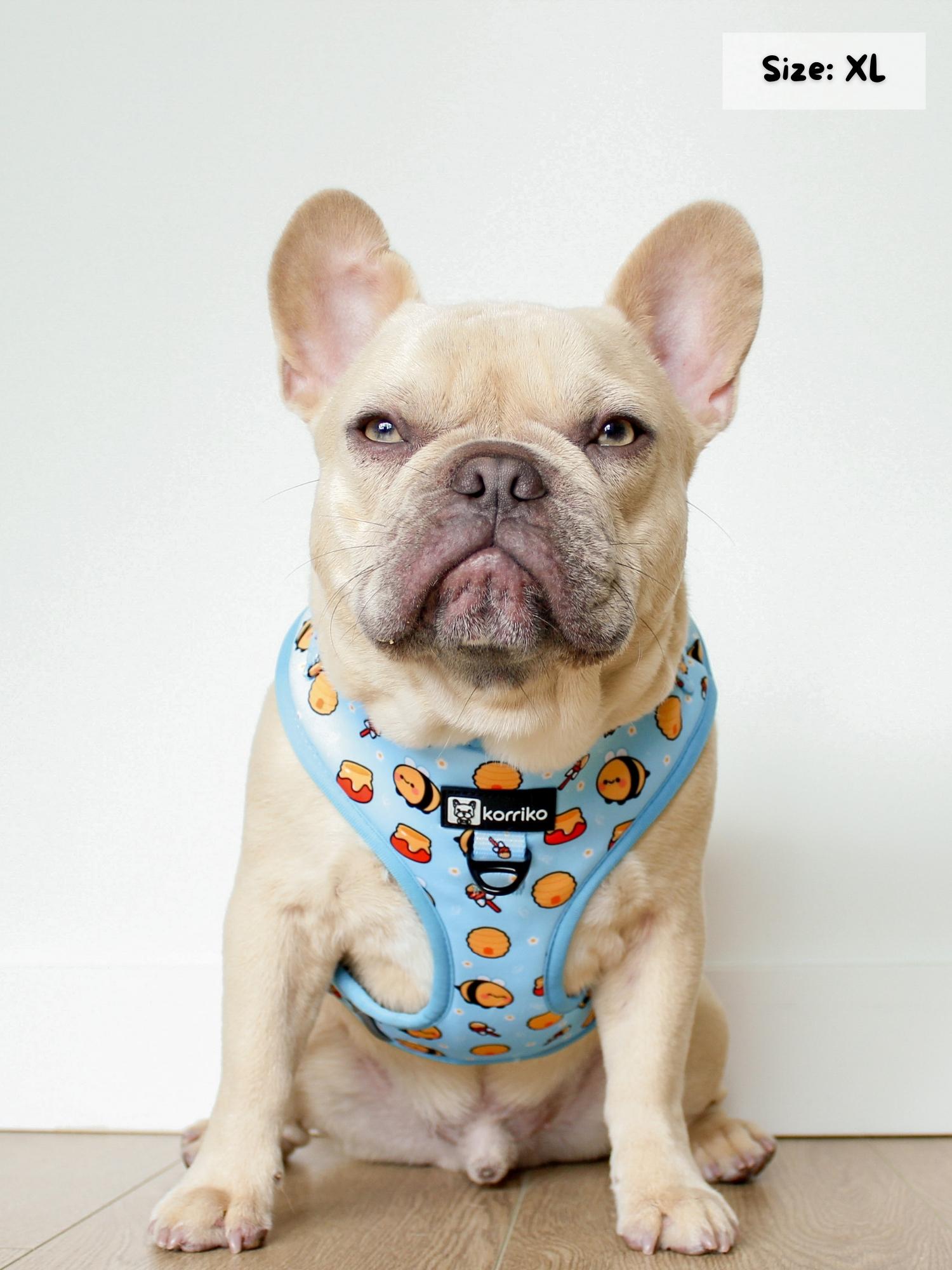 Adjustable Dog Harness - HoneyBee