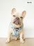 Adjustable Dog Harness - HoneyBee