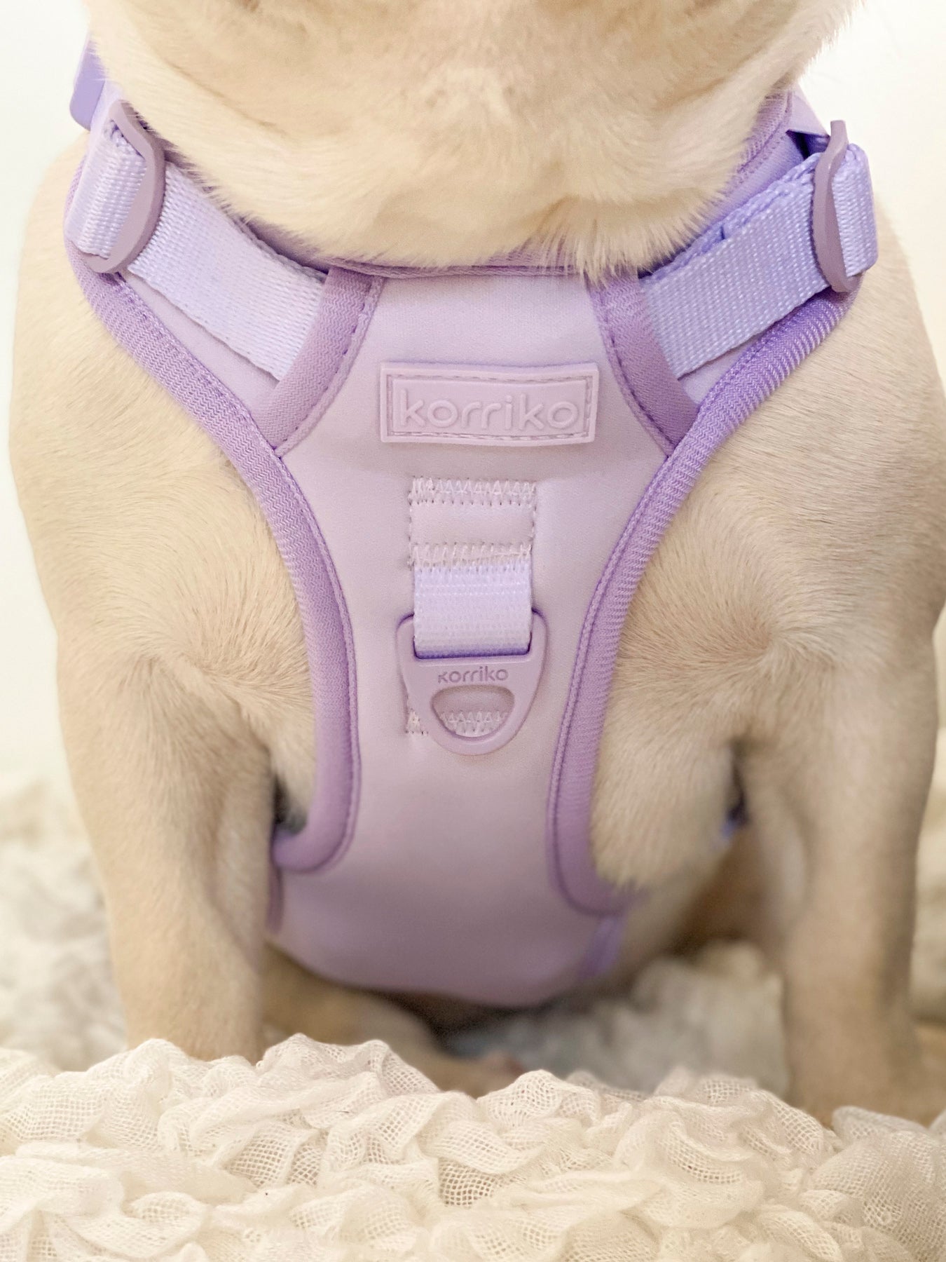 Exploration Lite No-Pull Dog Harness - Lilac