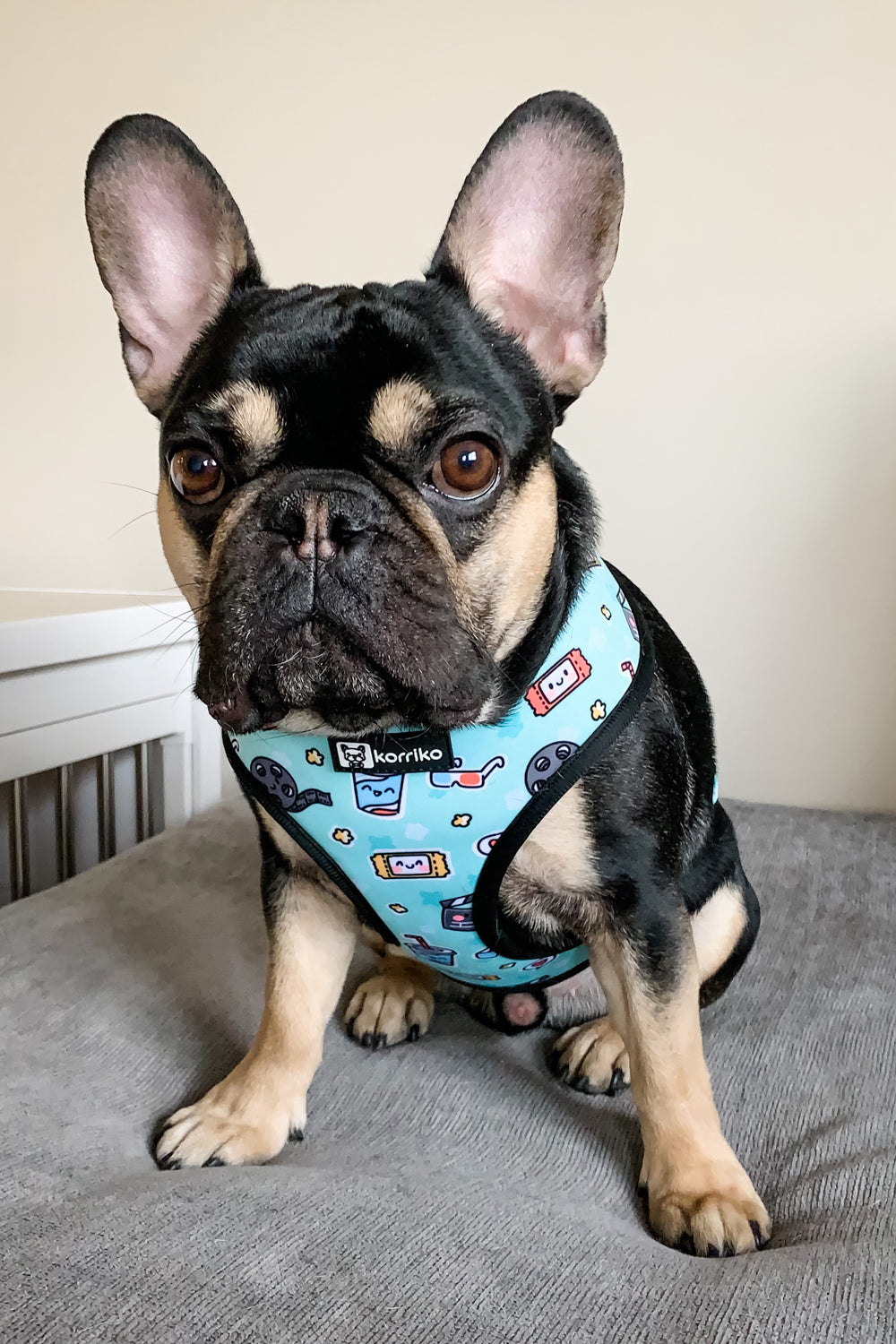 Reversible Dog Harness - Pupflix (Final Sale)