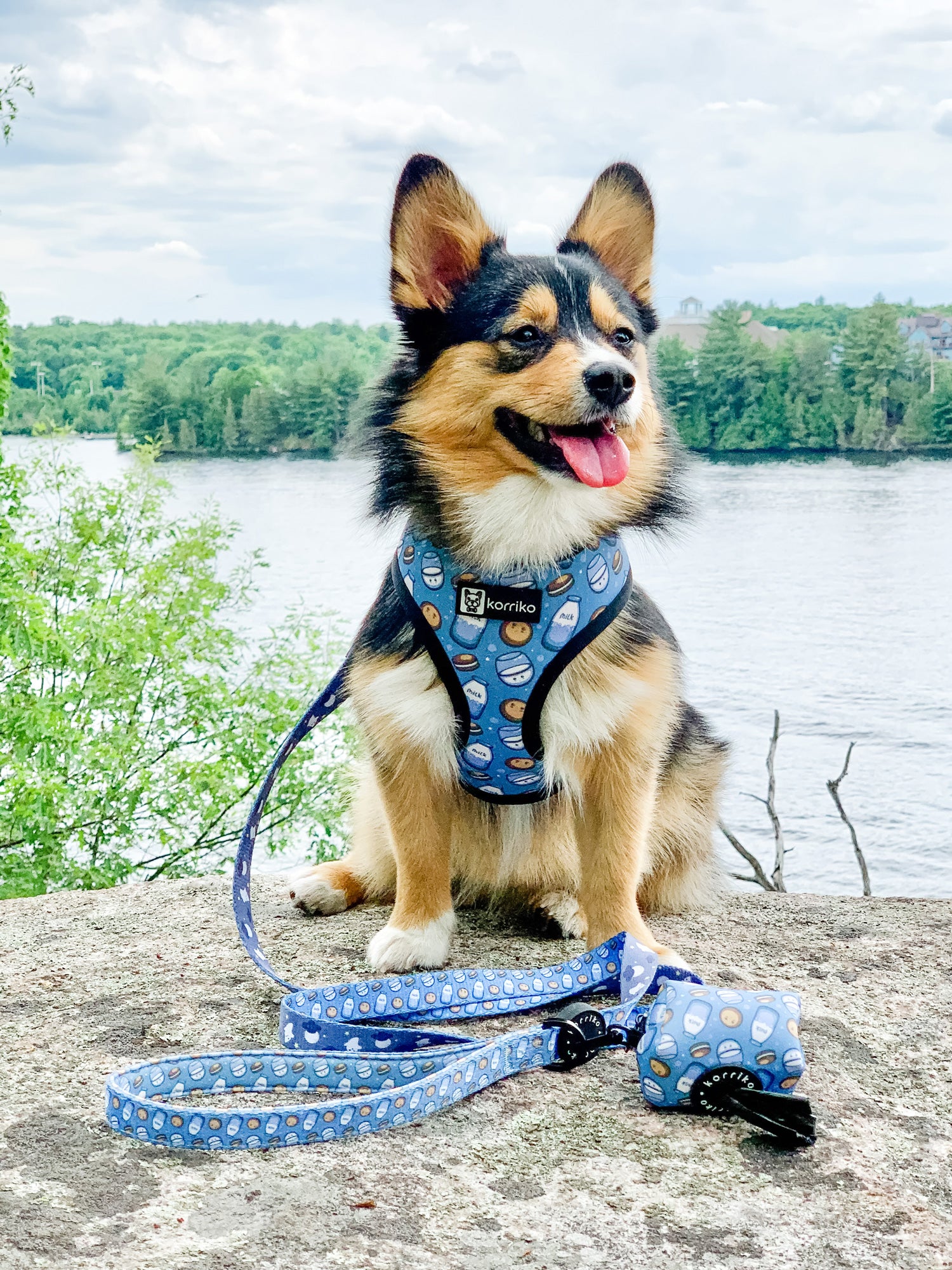 Reversible Dog Harness - Milky Way (Final Sale)