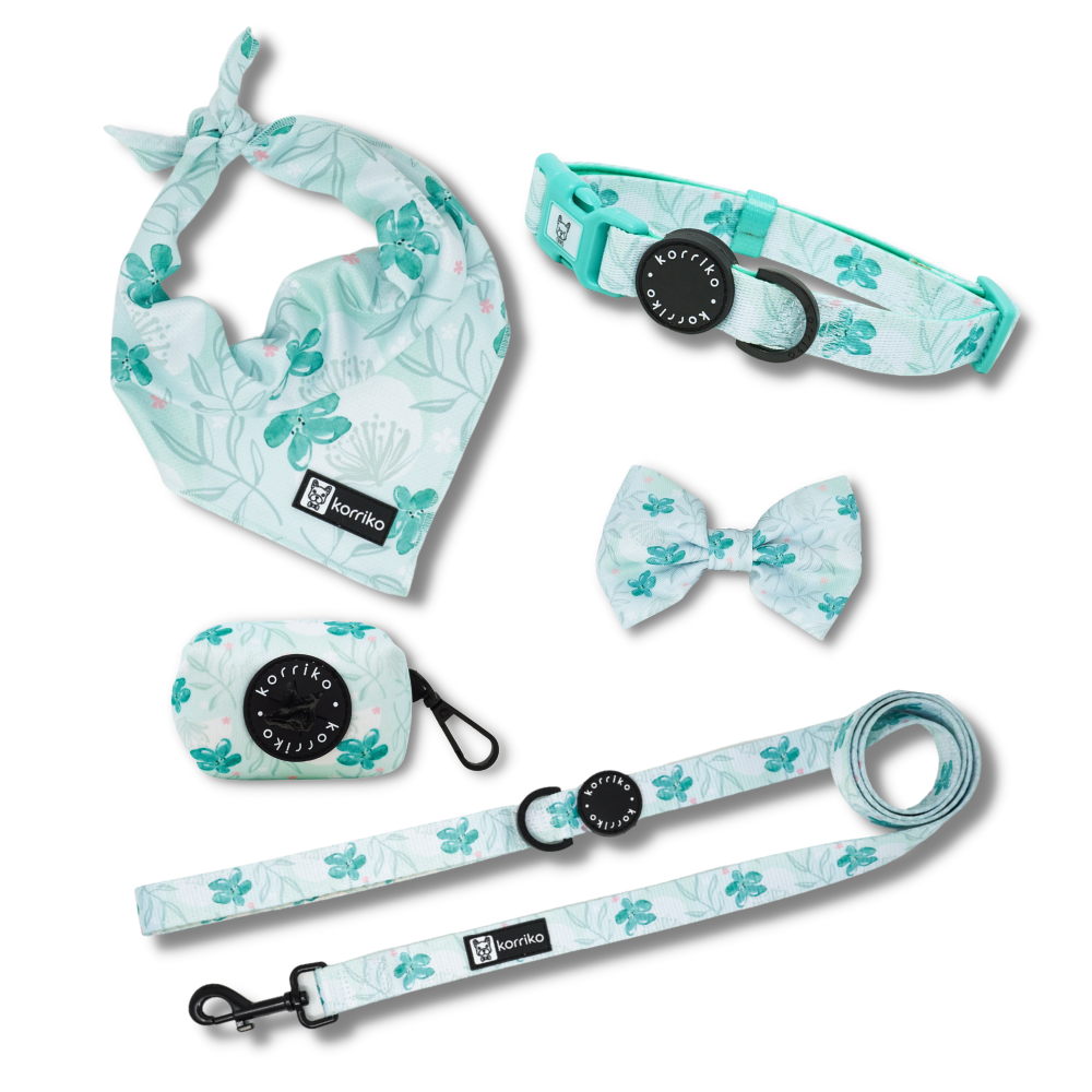 Collar Bundle Set - Mint Sakura (Final Sale)