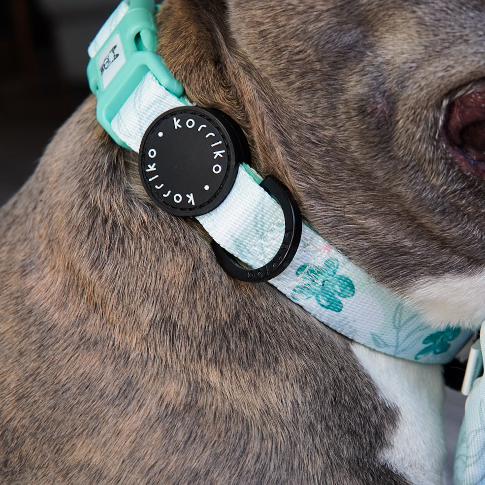 Mimco dog collar sale hotsell