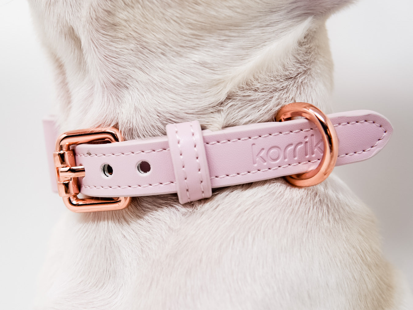 Signature Collar & Leash Set - Blush Pink (Final Sale)