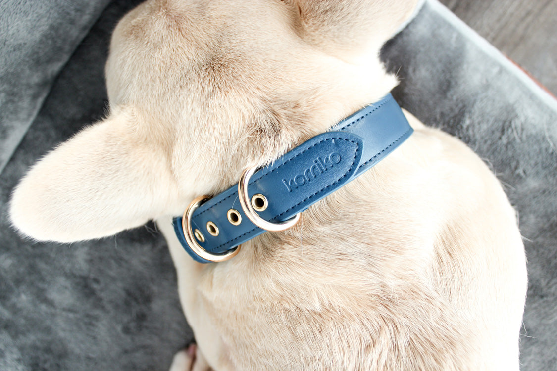 Signature Collar & Leash Set - Navy (Final Sale)