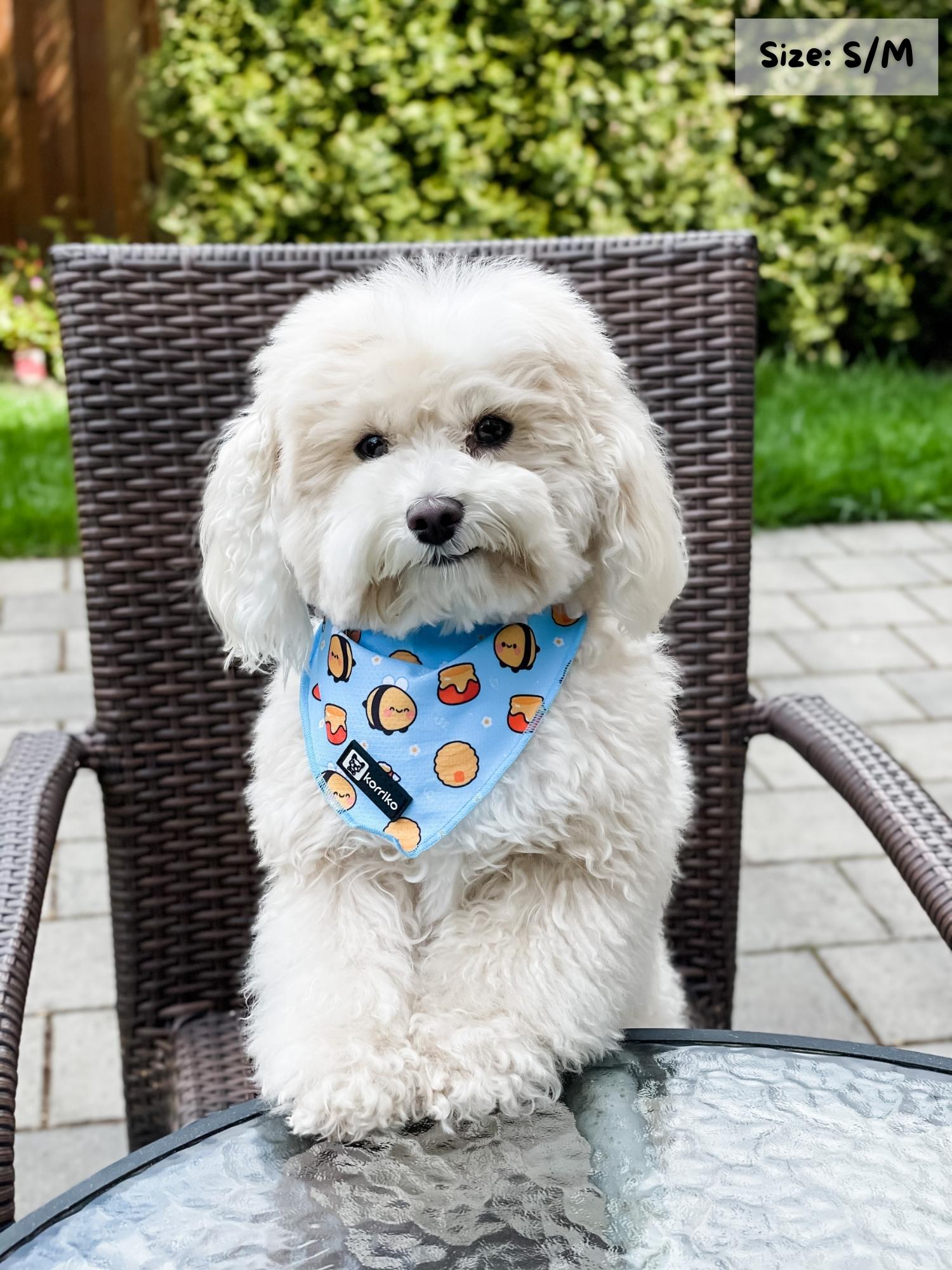 Cooling Dog Bandana - HoneyBee