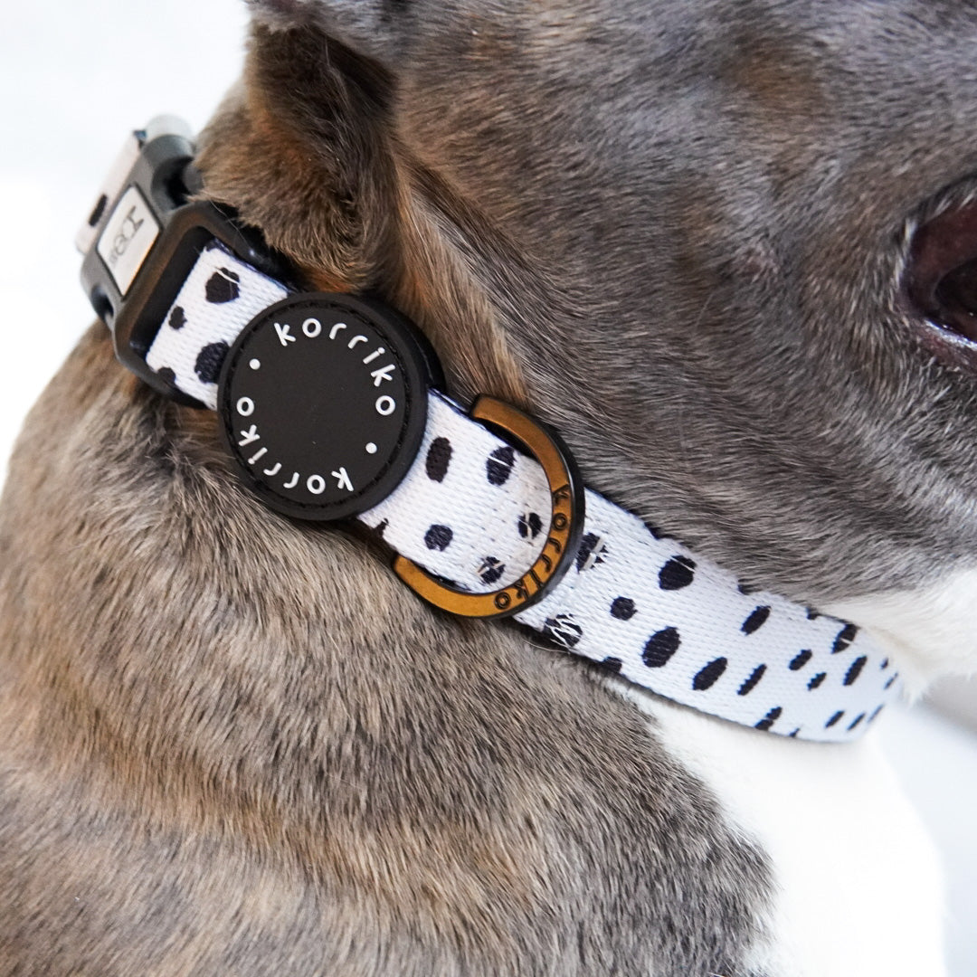 Dog shop collar sale