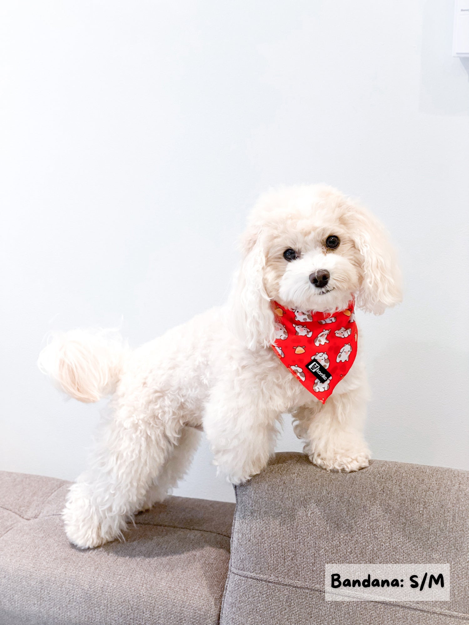 Cooling Dog Bandana - Moo Moo