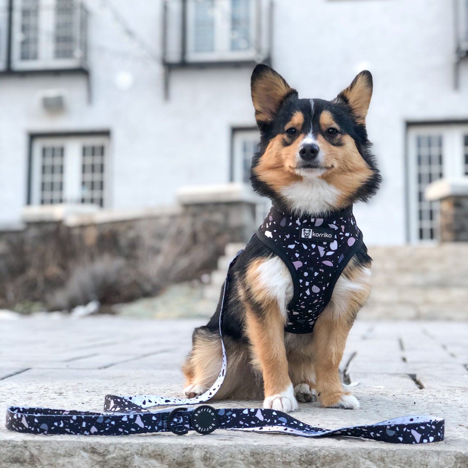 Reversible Dog Harness - Terrazzo (Final Sale)