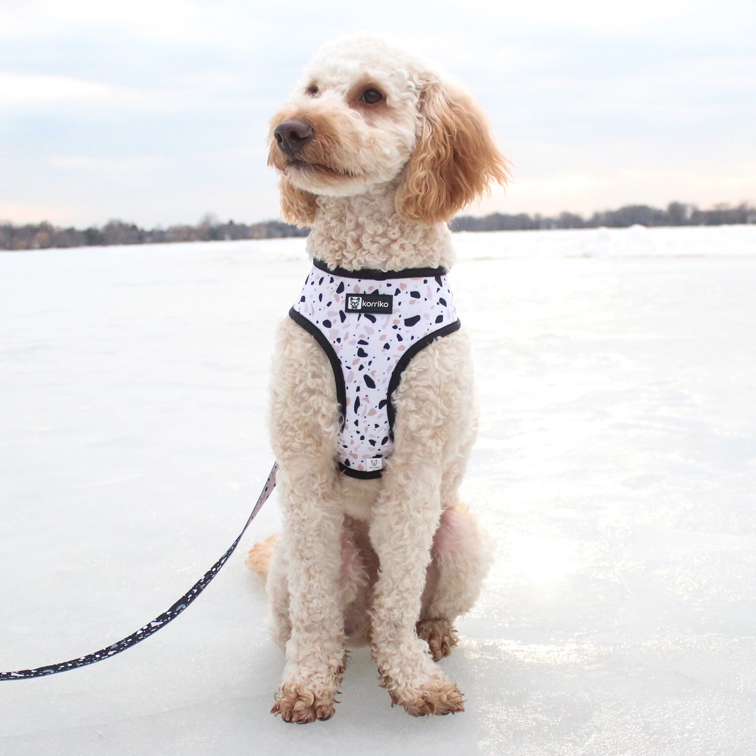 Reversible Dog Harness - Terrazzo (Final Sale)