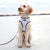 Reversible Dog Harness - Terrazzo (Final Sale)