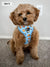 Adjustable Dog Harness - HoneyBee