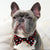 Dog Bow Tie - Red Plaid