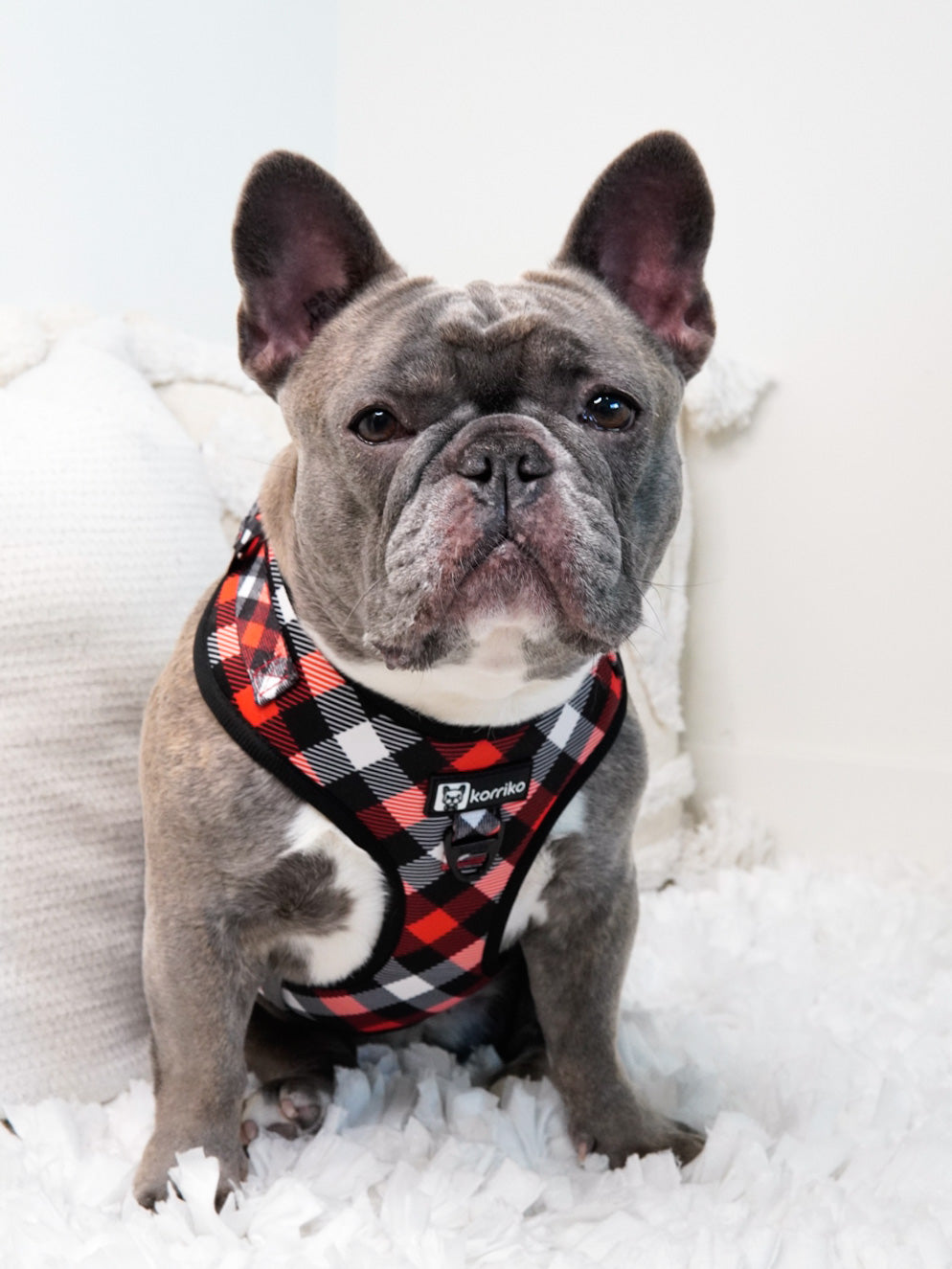 Adjustable Dog Harness - Red Plaid