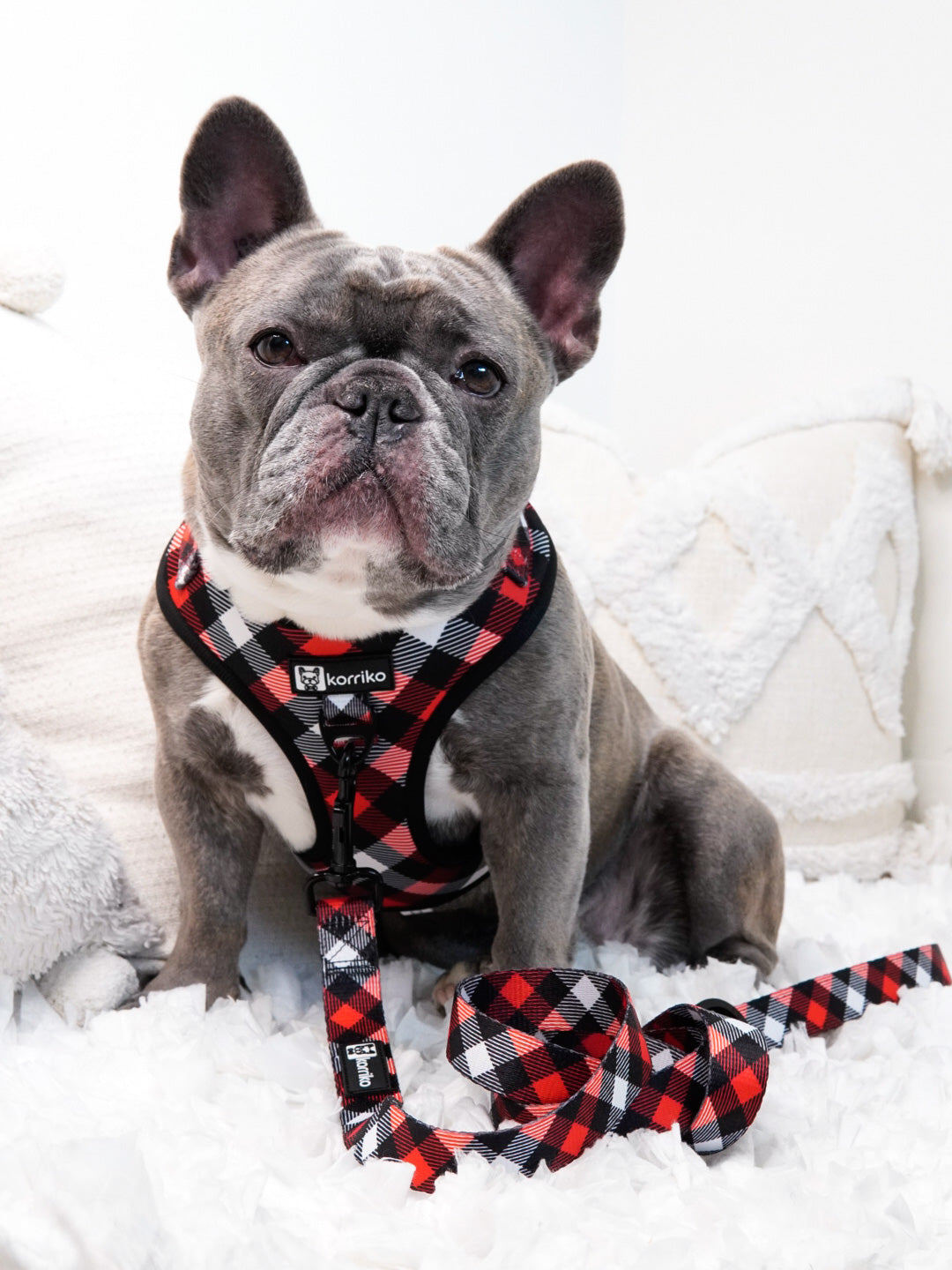 Adjustable Dog Harness - Red Plaid